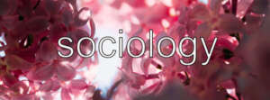 sociology